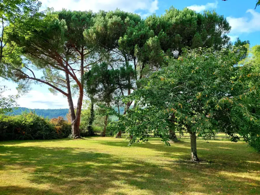 Parc arboré du Domaine de La Buissière dans le Lot